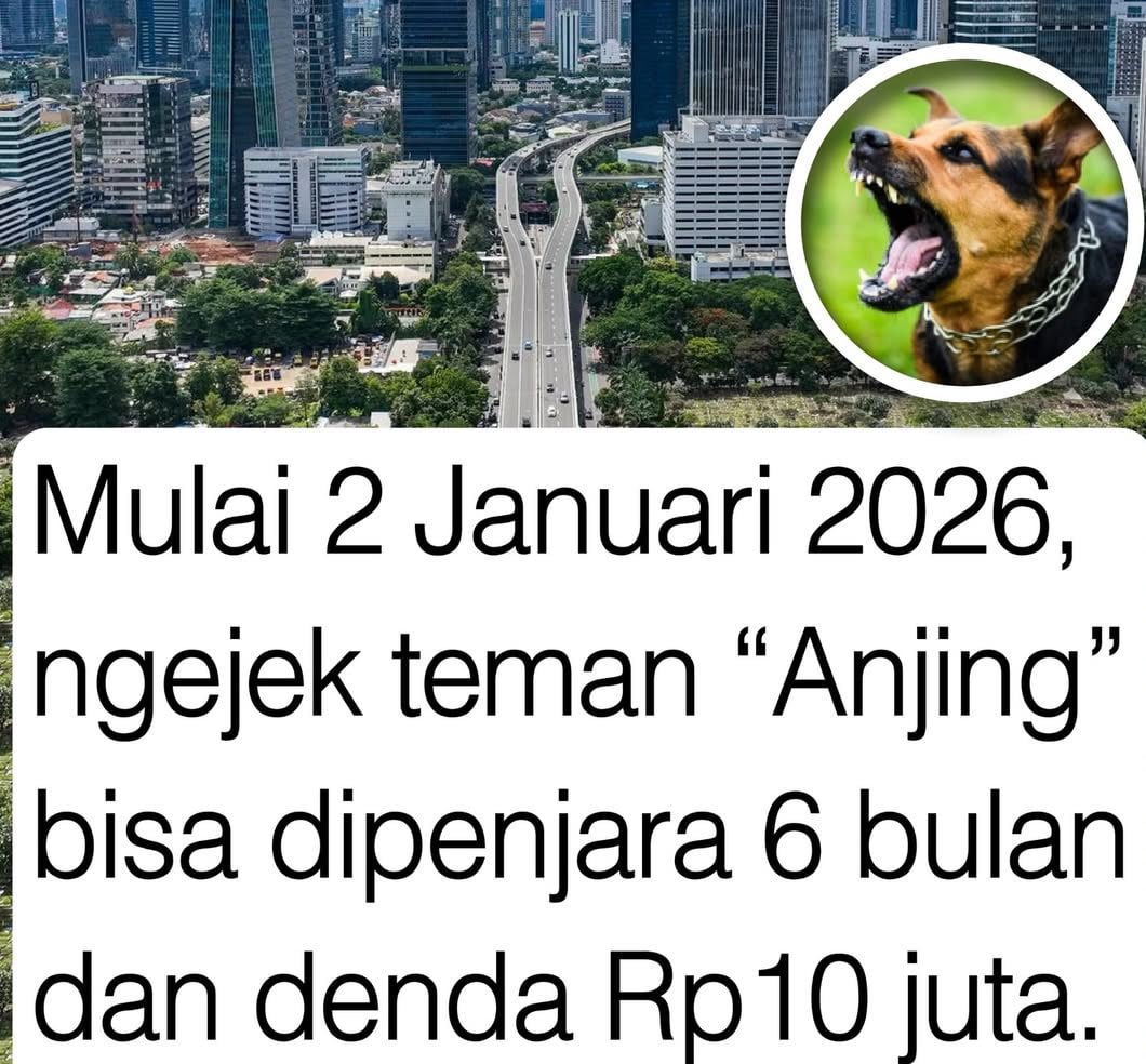 Mulai 2 Januari 2026, Penghinaan Berujung Penjara dan Denda