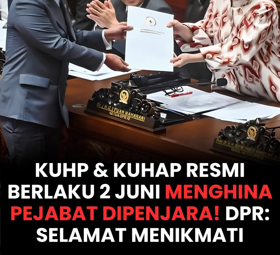 KUHP dan KUHAP Resmi Berlaku 2 Juni, Penghinaan Pejabat